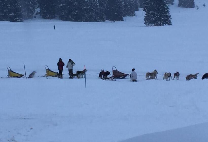 Malga Millegrobbe Nordic Resort