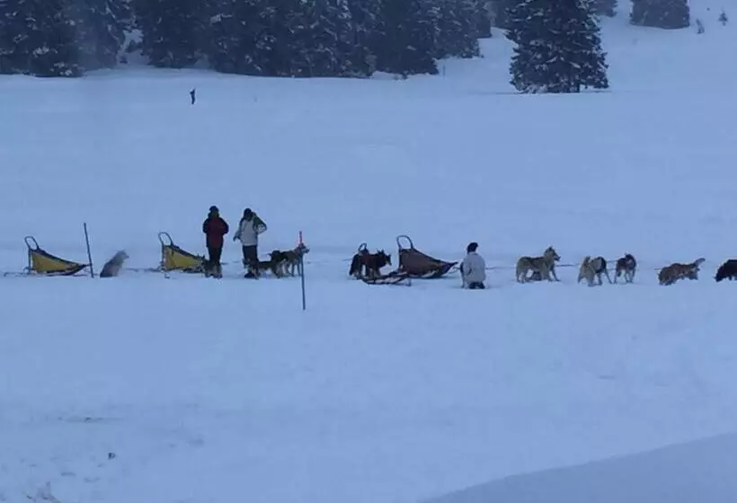 Malga Millegrobbe Nordic Resort