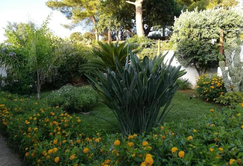 צימר Bianco Sale Trapani