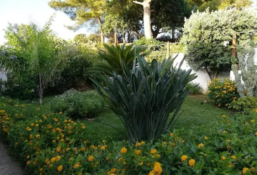 Aamiaismajoitus (B&B) Bianco Sale Trapani