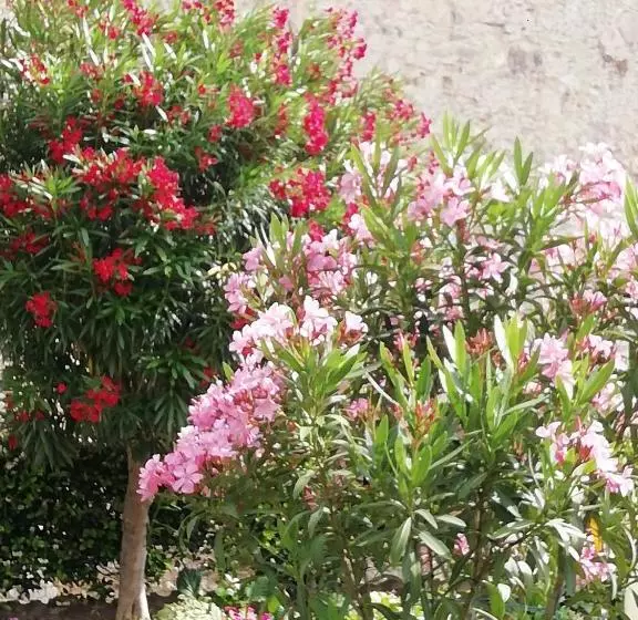 تختخواب و صبحانه Al Borgo