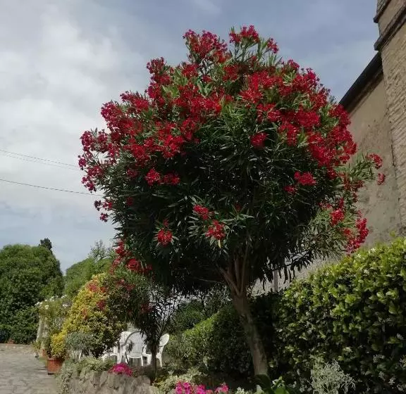 تختخواب و صبحانه Al Borgo