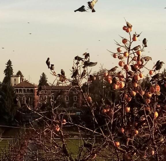 住宿加早餐  Castello Di Cernusco Lombardone