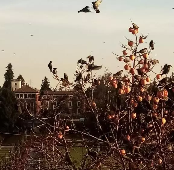 ベッドアンドブレックファースト Castello Di Cernusco Lombardone