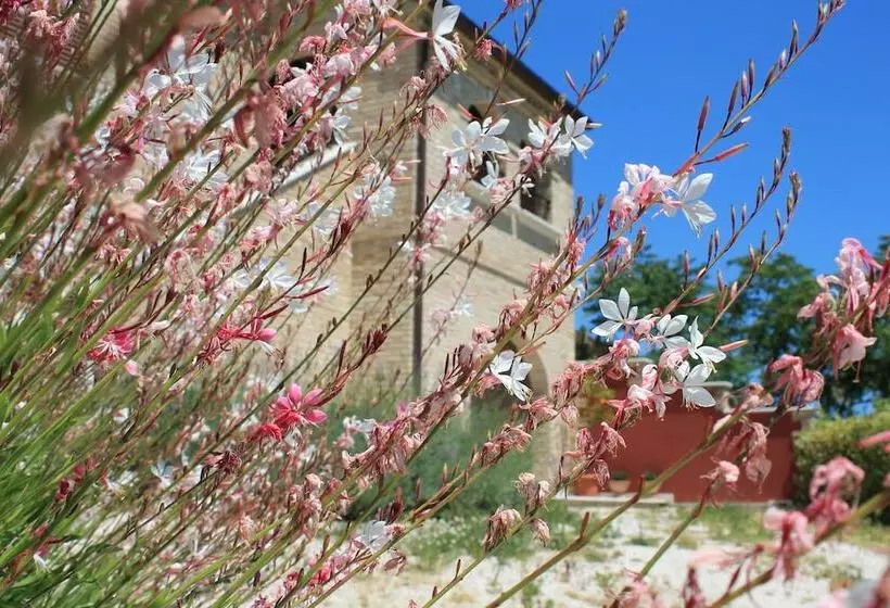 Aamiaismajoitus (B&B) Dimora Rosso Piceno