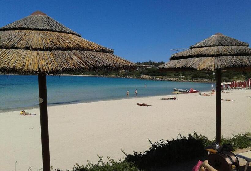 مبيت وإفطار Domus Corallia Luxury Rooms