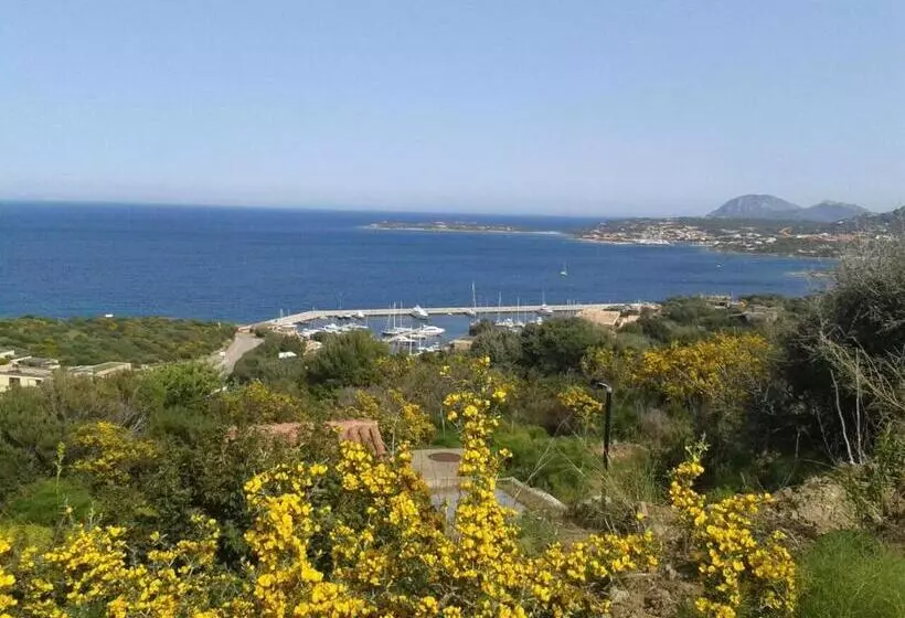 ベッドアンドブレックファースト Domus Corallia Luxury Rooms