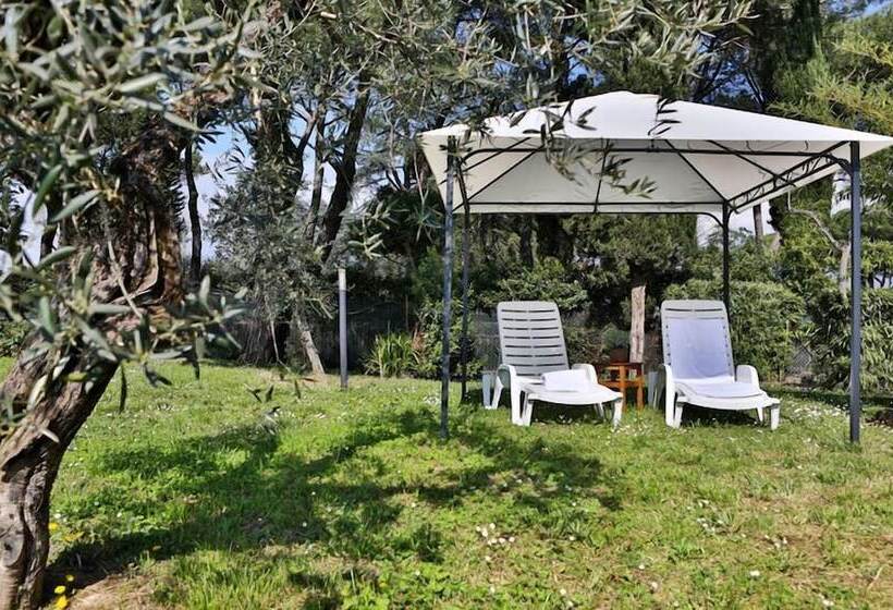 مبيت وإفطار Fattoria Pagnana Suites And Pool