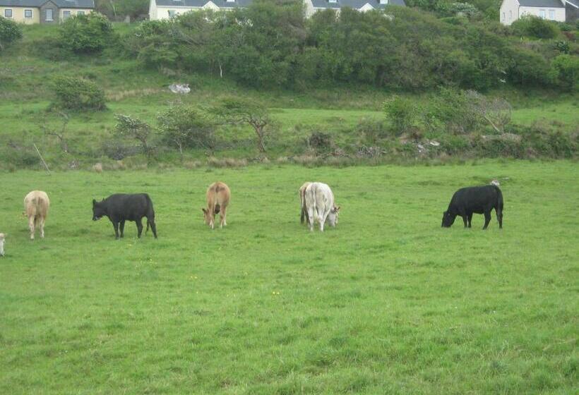 Bed and Breakfast Iveragh Heights