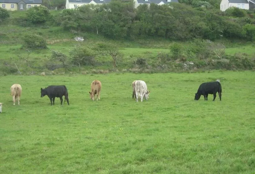 Aamiaismajoitus (B&B) Iveragh Heights