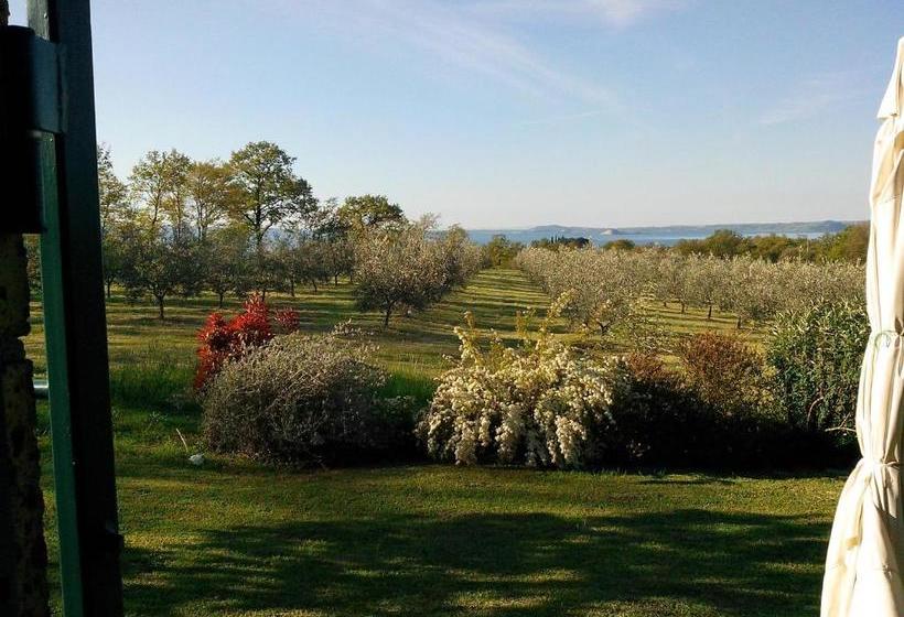 Bed and Breakfast Podere San Francesco