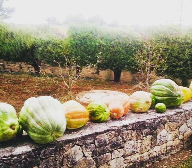 تختخواب و صبحانه Villa Genny