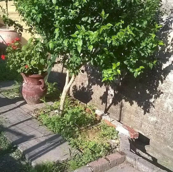 Hotelli Albergo Da Peppino