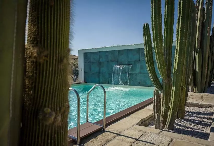 Relais Garden Cactus B&b