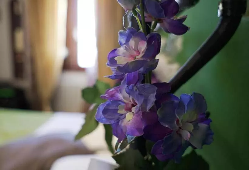 B&b Le Undici Lune