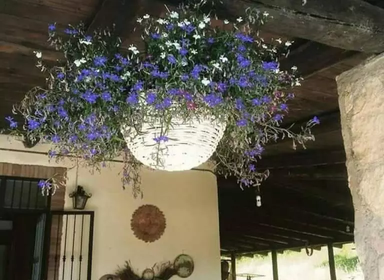 B&b Rifugio Della Luna