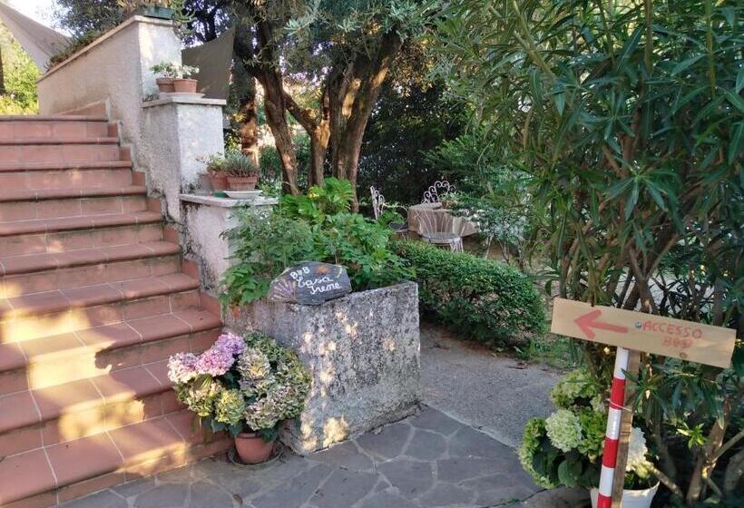 مبيت وإفطار Casa Irene