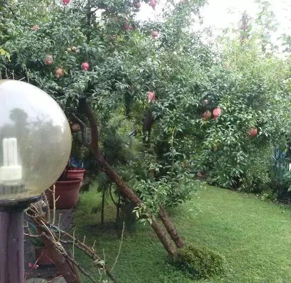 Aamiaismajoitus (B&B) Casa Irene