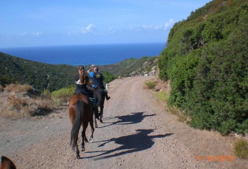 مبيت وإفطار Centro Di Turismo Equestre Shangrila