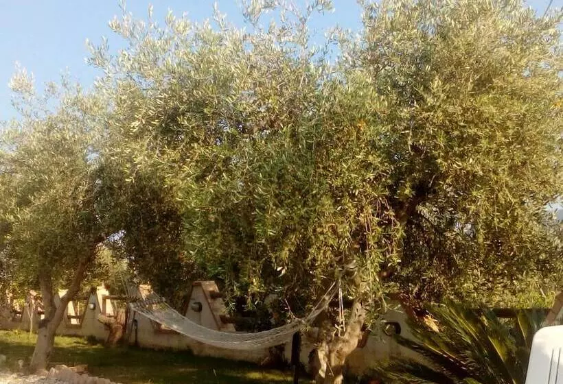 مبيت وإفطار Casale 920