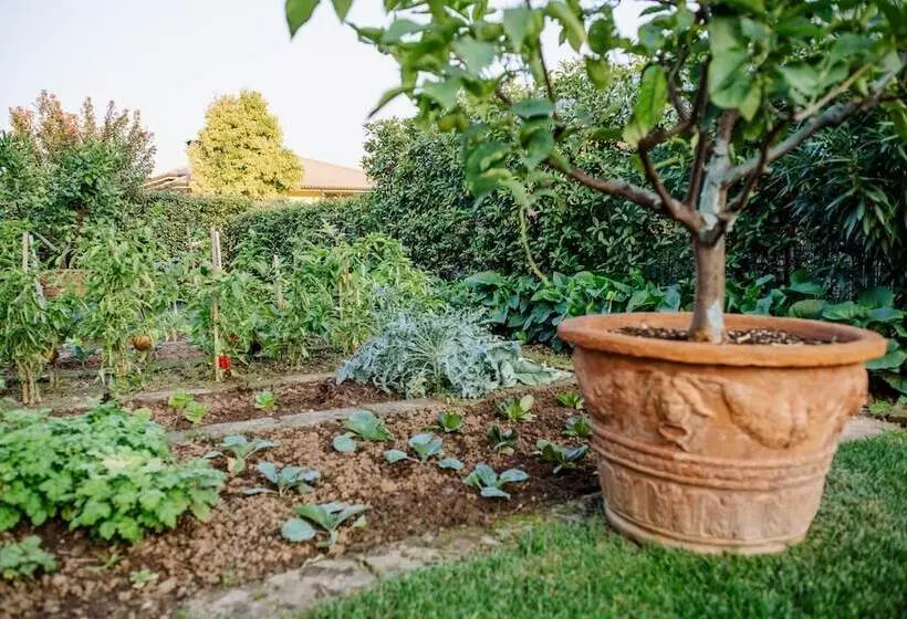 Aamiaismajoitus (B&B) La Dolce Vita