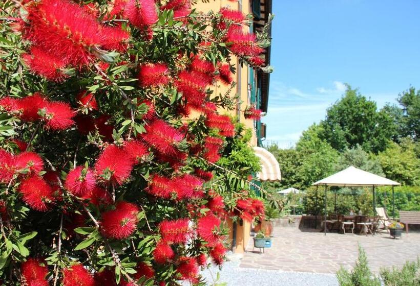 Bed & Breakfast Lucca Fora
