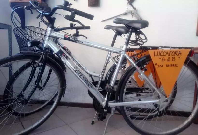 Bed & Breakfast Lucca Fora
