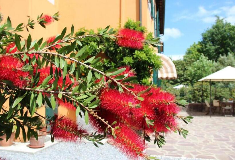Bed & Breakfast Lucca Fora