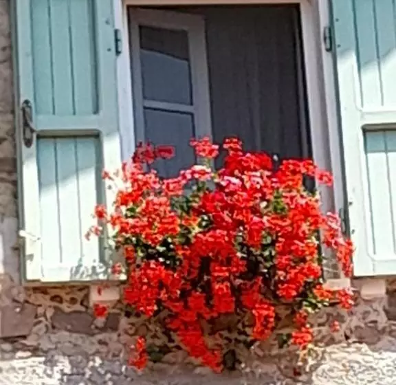 Gli Ulivi Bed & Breakfast