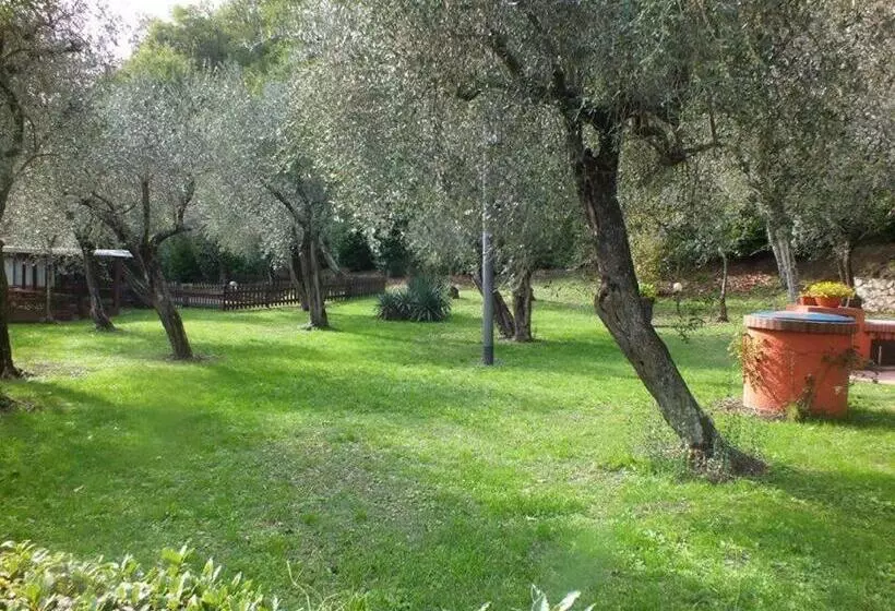 Gli Ulivi Bed & Breakfast