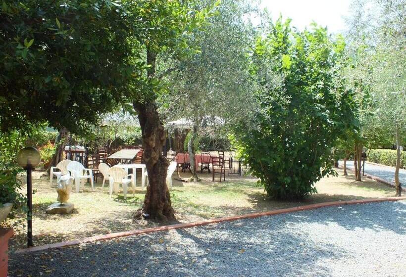 Gli Ulivi Bed & Breakfast