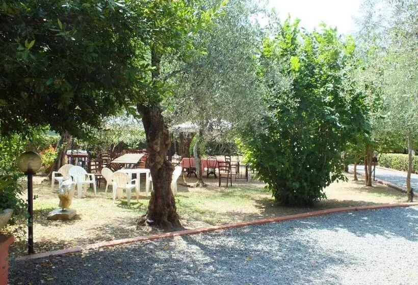 Gli Ulivi Bed & Breakfast