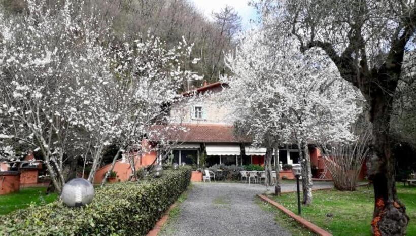 Gli Ulivi Bed & Breakfast