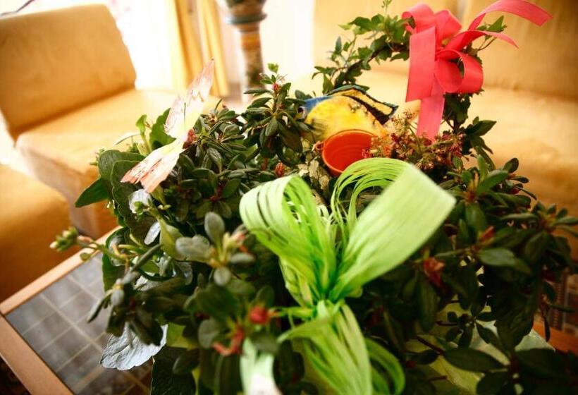 Hotel Devon Rooms & Breakfast