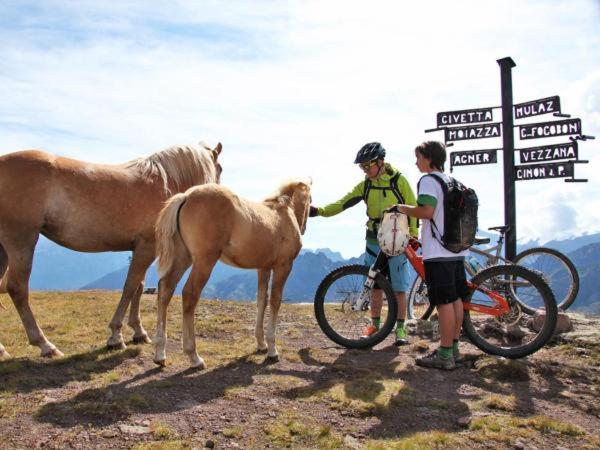 בית מלון כפרי Monte Civetta