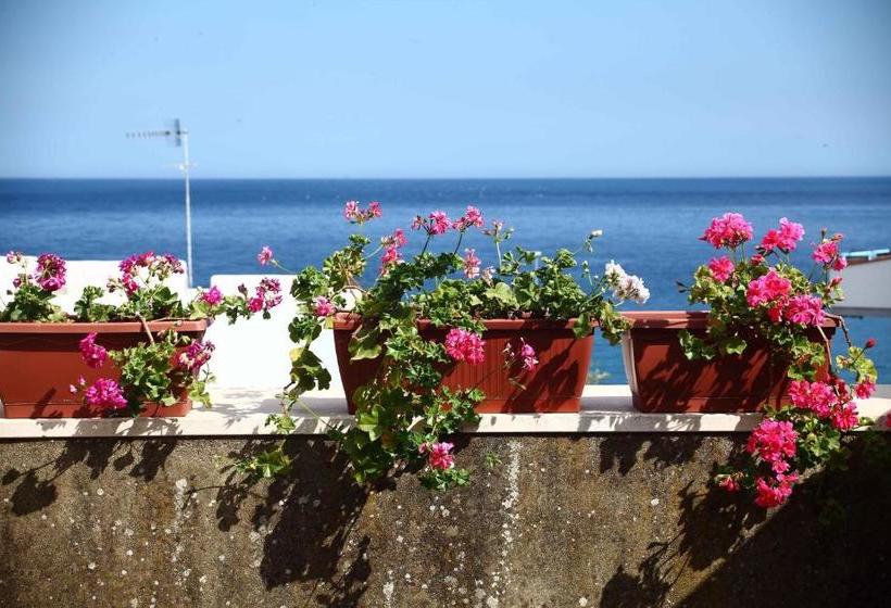 Il Fico Bed And Breakfast