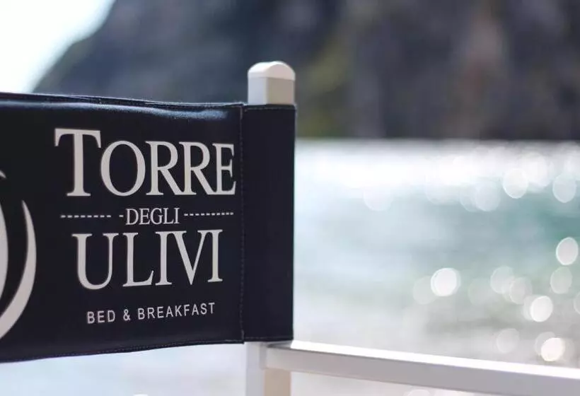 Aamiaismajoitus (B&B) Torre Degli Ulivi