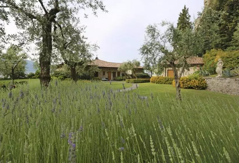 Aamiaismajoitus (B&B) Torre Degli Ulivi