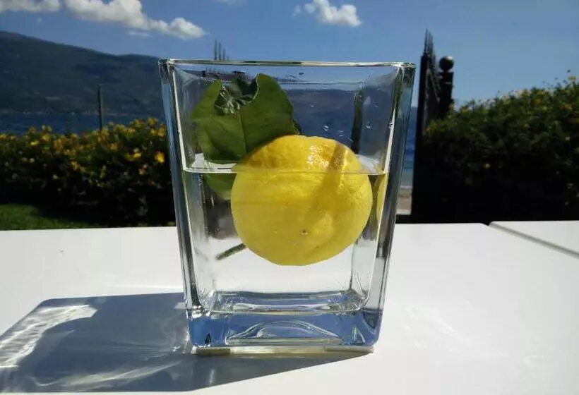 Aamiaismajoitus (B&B) Torre Degli Ulivi