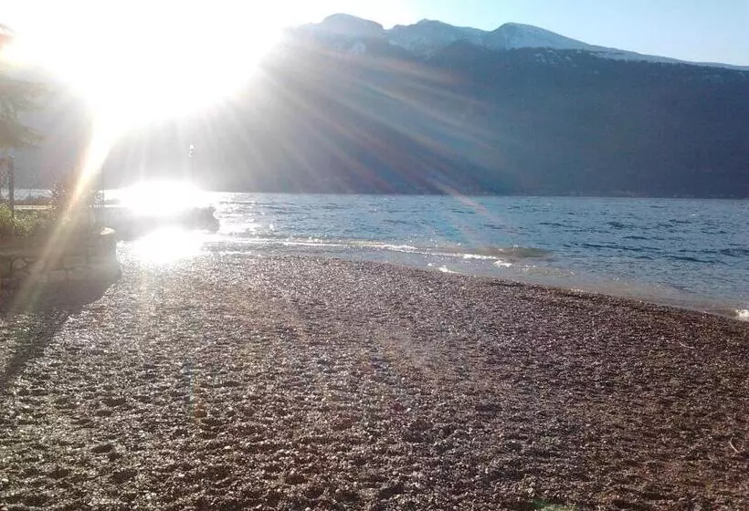 Aamiaismajoitus (B&B) Torre Degli Ulivi