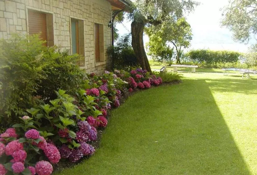 Aamiaismajoitus (B&B) Torre Degli Ulivi