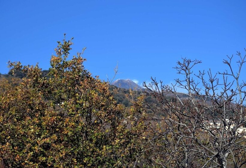 민박 Villa Hirschen