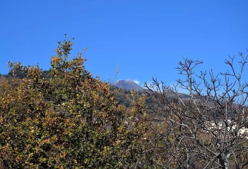 ベッドアンドブレックファースト Villa Hirschen