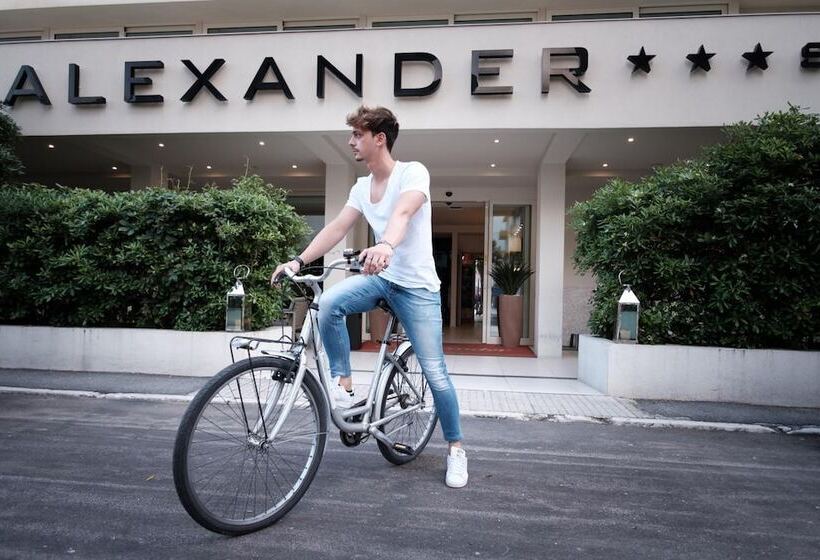 בית מלון כפרי Alexander