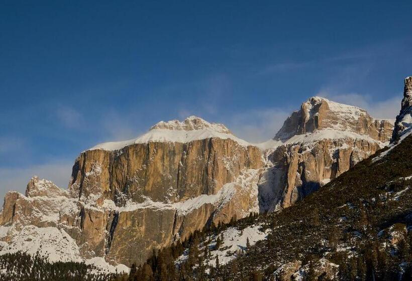 ホテル Pordoi Passo Pordoi Vegetarian