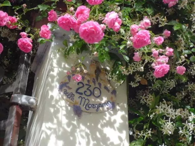 ホテル Villa Morgana