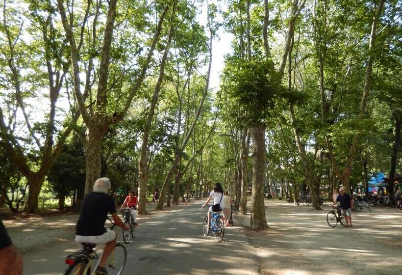 Отель Villa Morgana