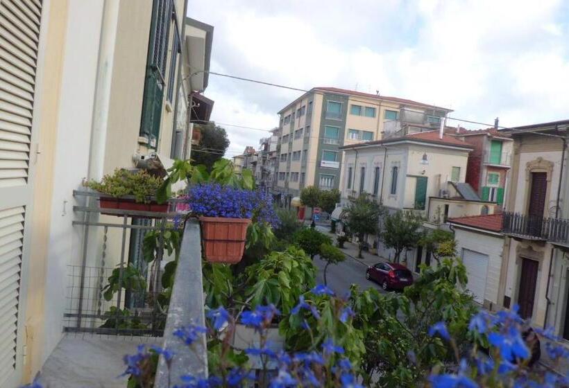 Отель Villa Morgana