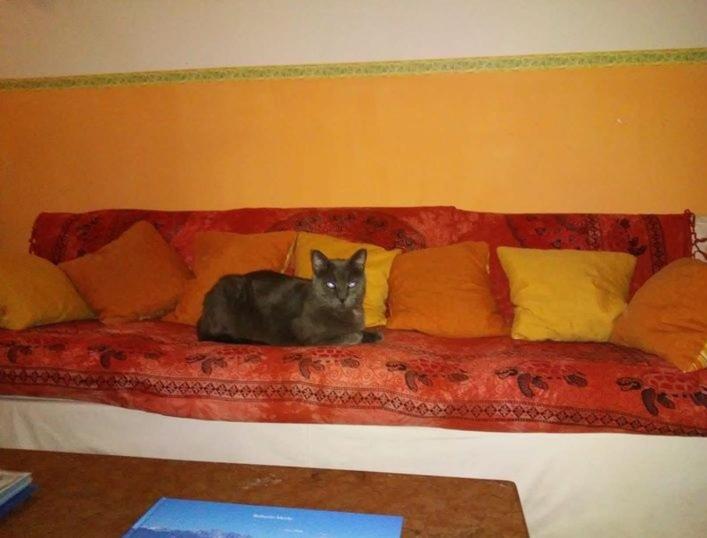 Отель Villa Morgana