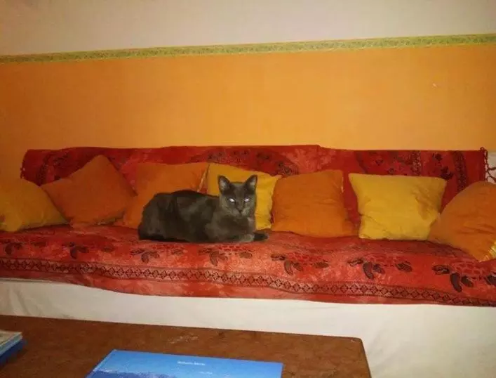 ホテル Villa Morgana